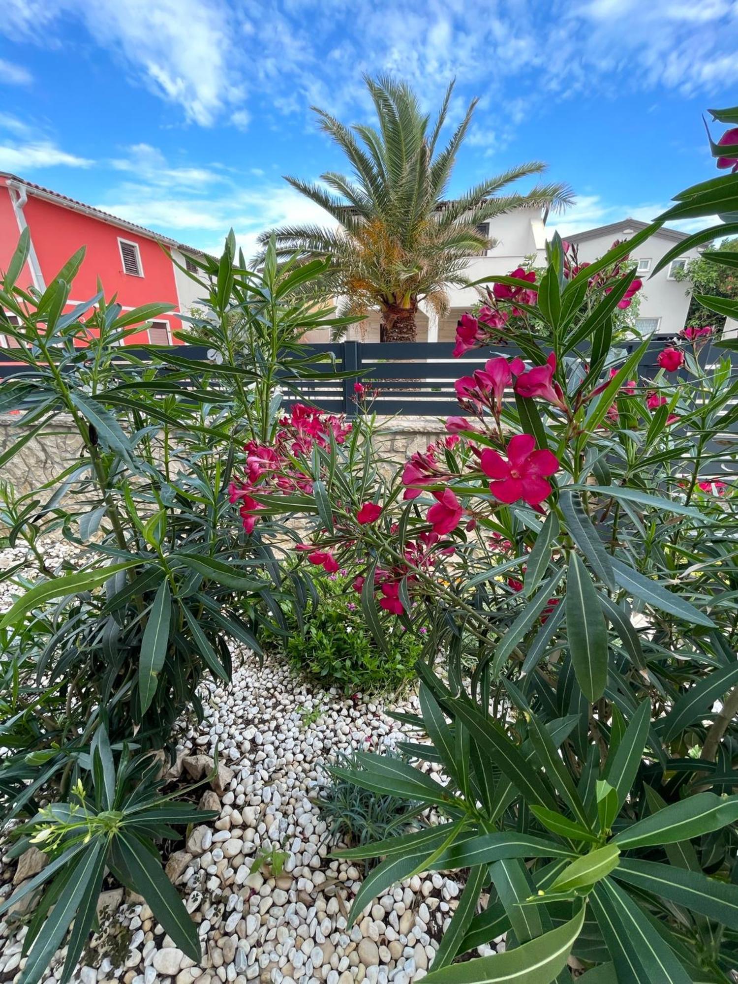 Apartmenthouse Ines Vir Bagian luar foto